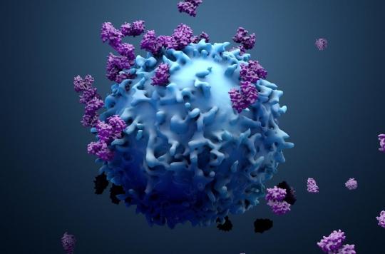 Des nanoparticules pour cibler les cellules cancéreuses