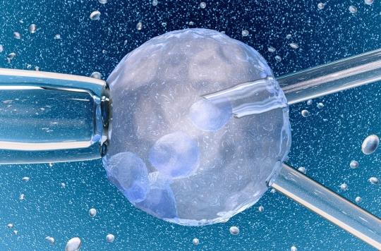 Cancers : les enfants nés d'un transfert d'embryons congelés plus à risque 