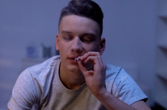 Le cannabis chez les jeunes fait baisser leur QI !