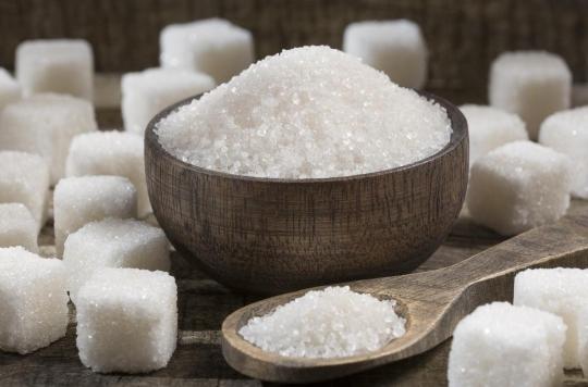Comment l’excès de sucre dérègle nos cellules