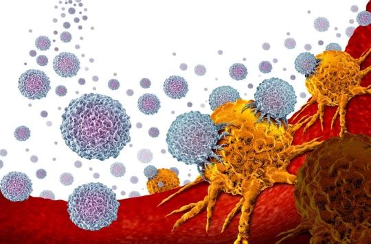 Immunothérapie : le chemin des lymphocytes tueurs de tumeurs a été identifié