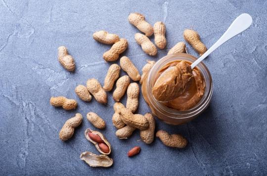 Allergie aux arachides : et si modifier le microbiote intestinal permettait de la traiter ? 