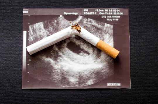 Fumer au moment de la conception retarde le développement de l’embryon