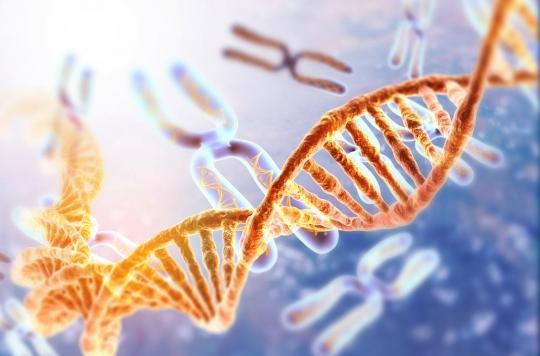 Comment l'ARN pourrait réparer l'ADN : une découverte inattendue
