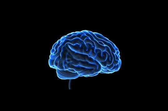 Le besoin en oxygène dans notre cerveau est lié à notre activité cérébrale