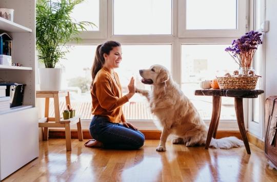 Jouer avec un chien augmente les ondes cérébrales associées à la relaxation 