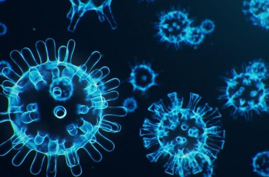 Coronavirus : ce que l'on sait et ce que l'on ignore encore sur le virus