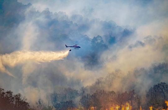 Particules fines : les feux de forêt plus toxiques que les gaz d'échappement