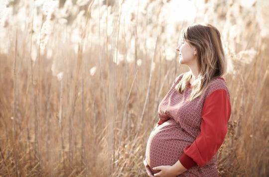 L’organe oublié qui garantit des grossesses saines 