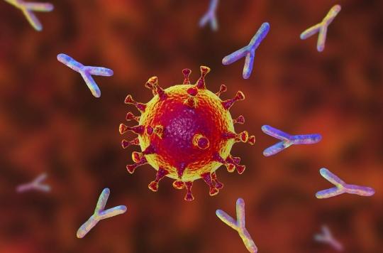 Série traitement Covid-19 : les anticorps polyclonaux pour détruire le virus