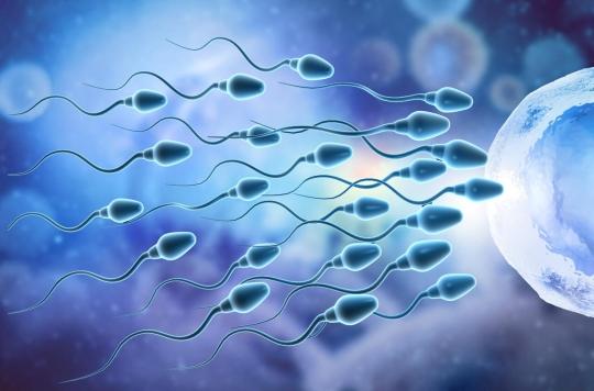 Infertilité masculine : un nouveau mécanisme génétique qui pourrait être en cause a été découvert 