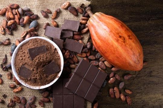 Hypertension : du cacao pour réduire le risque ? 