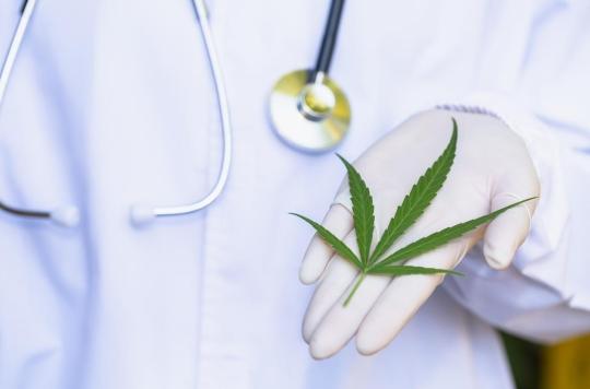 Le cannabis thérapeutique soulage les patients atteints de cancer