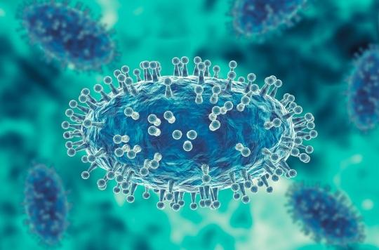 51 cas de variole du singe en France : faudra-t-il bientôt tester ou vacciner ?