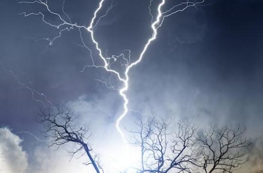 A girl killed in Mayenne by the fall of a branch during a thunderstorm