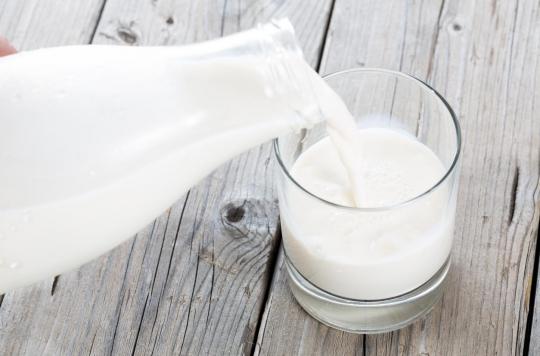 Cholestérol : boire du lait est sans risque