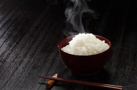 Hypertension : du riz génétiquement modifié pour prévenir et traiter la maladie 