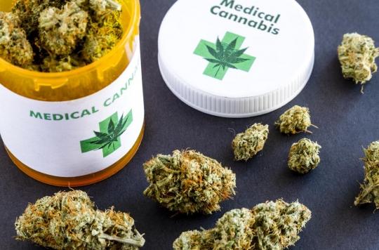 L'usage du cannabis thérapeutique sera finalement testé en France d'ici janvier 2021