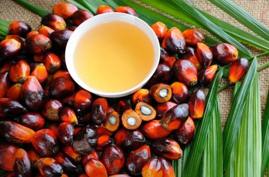Palm oil: an accelerator of metastases?