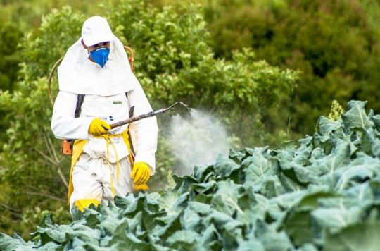 Les pesticides augmenteraient le risque de problèmes cardiaques 