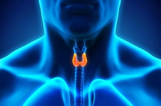 Derrière l’affaire Levothyrox… il y a la thyroïde !