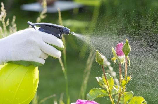 Pesticides : le nouveau ministre de l'Agriculture accusé d'être un lobbyiste
