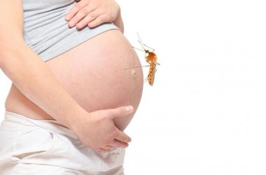Zika : l'infection au 1er trimestre de la grossesse est la plus redoutable