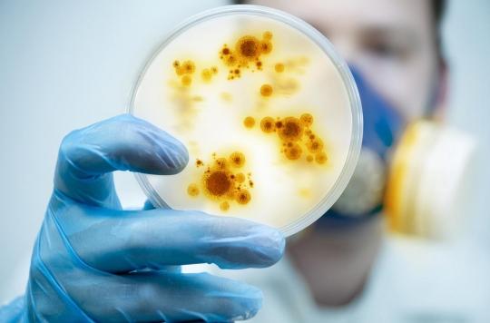 Des scientifiques promettent de détecter les bactéries au bout de 30 minutes