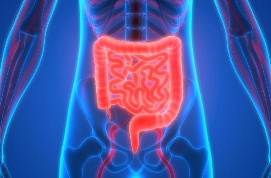 Comment le microbiote intestinal peut protéger des allergies alimentaires 