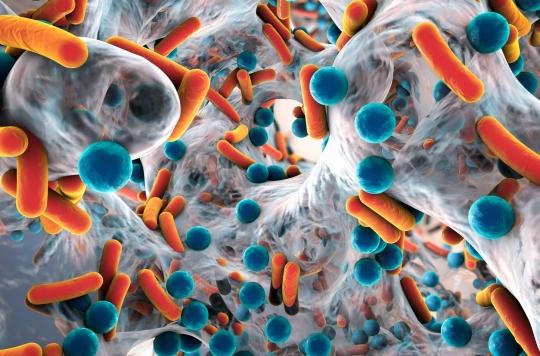 Antibiorésistance : des virus modifiés pour combattre les bactéries résistantes ? 