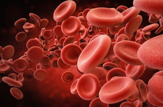 Coronavirus : un test sanguin permet de prédire les risques de décès
