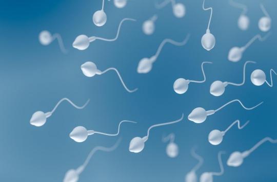 L’âge des spermatozoïdes pourrait influer sur la santé et l'espérance de vie du bébé