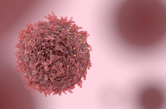 Cancer cutané : un anticorps qui protège des inflammations pourrait être en cause 