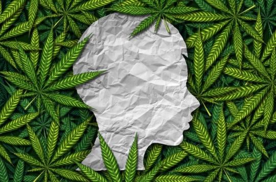 Non, le cannabis ne soulage pas la douleur chronique
