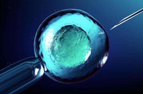 Transplantation : le Japon autorise la recherche sur les embryons hybrides humains-animaux