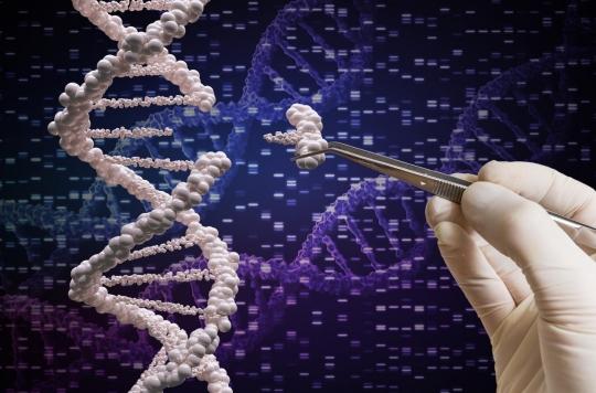 Chine : le chercheur à l’origine des jumelles génétiquement modifiées condamné à 3 ans de prison