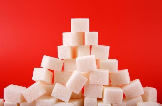 Miel, sirop d'agave, sucre de coco... Quelles sont les 9 alternatives au sucre ?