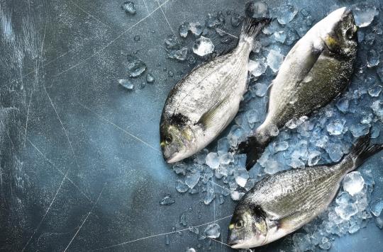 Cancer intestinal : manger du poisson trois fois par semaine réduirait les risques