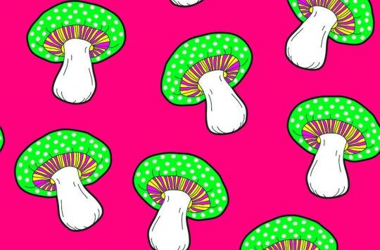 The hallucinatory effects of a mushroom recreated with a placebo