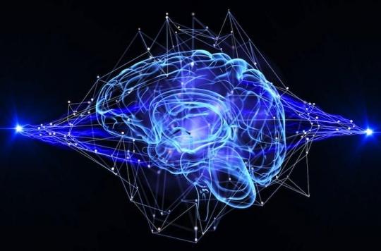 Les personnes intelligentes ont moins de connexions entre leurs neurones