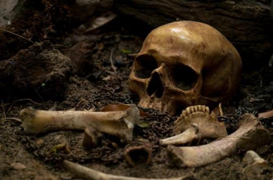 Tuberculose :  des squelettes humains découverts dans un jardin 