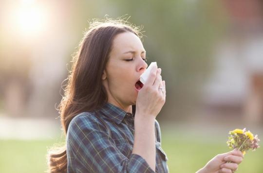 Pollens : attention, le beau temps réveille les allergies 