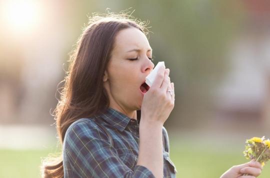 Allergie aux pollens de graminées : sept départements en alerte rouge