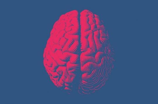 Alzheimer : certains cerveaux s'en protègent moins bien que d'autres
