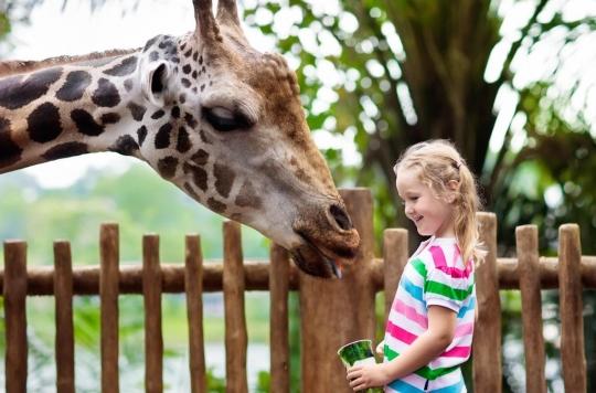 Les animaux des zoos peuvent transmettre aux visiteurs des bactéries résistantes aux médicaments 