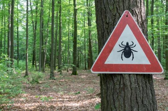 Maladie de Lyme : les régions où il faudra particulièrement être vigilants cet été