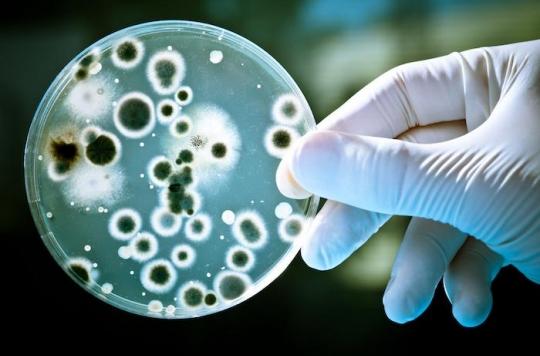 Une redoutable bactérie se propage dans les hôpitaux : quel risque pour notre santé ?