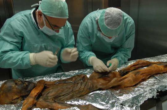 La momie glaciaire Ötzi souffrait d’une infection à l’estomac