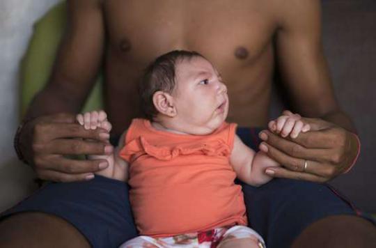 Zika : les Etats-Unis demanderaient aux femmes enceintes de limiter leurs voyages