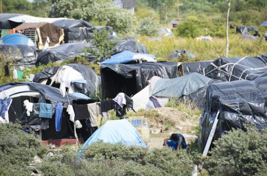 Jungle de Calais : la mission écarte le risque d'une épidémie